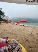 팜모닝 🎉상반기 결산 자랑하기·참여글 게시글 이미지