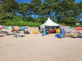 아로니아님의 🎉상반기 결산 자랑하기 · 참여글 작성글 사진