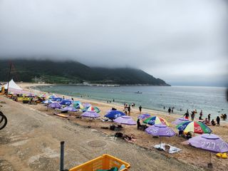 아로니아님의 🎉상반기 결산 자랑하기 · 참여글 작성글 사진