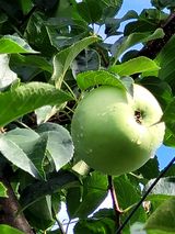 팜모닝 🎉상반기 결산 자랑하기·참여글 게시글 이미지