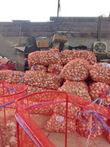 팜모닝 🎉상반기 결산 자랑하기·참여글 게시글 이미지