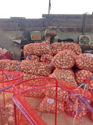 언제나그리고님의 🎉상반기 결산 자랑하기 · 참여글 작성글 사진