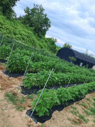 무지개님의 🎉상반기 결산 자랑하기 · 참여글 작성글 사진