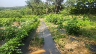 낙엽교목류19531님의 🎉상반기 결산 자랑하기 · 참여글 작성글 사진