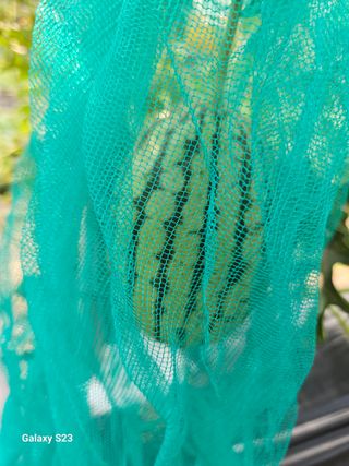 이영자 님의 자유주제 · 자유게시판 작성글 사진