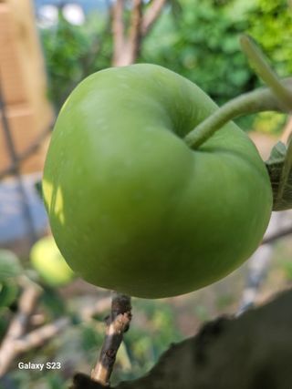 이영자 님의 자유주제 · 자유게시판 작성글 사진