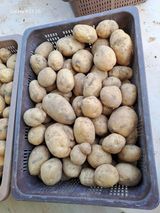 팜모닝 🎉상반기 결산 자랑하기·참여글 게시글 이미지