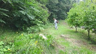 (힐링따오기쉼터)님의 기타작물 · 영농일지 작성글 사진