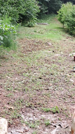(힐링따오기쉼터)님의 기타작물 · 영농일지 작성글 사진