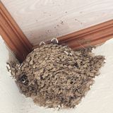 팜모닝 자유주제·자유게시판 게시글 이미지