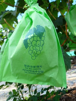 상훈경영체등록5년차님의 🎉상반기 결산 자랑하기 · 참여글 작성글 사진