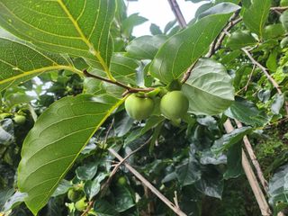 구경모님의 🎉상반기 결산 자랑하기·참여글 작성글 사진