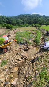 팜모닝 농사, 무엇이든 물어보세요!·참여글 게시글 이미지