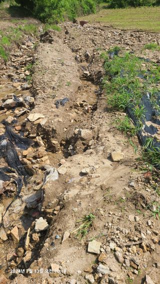 최종호님의 농사, 무엇이든 물어보세요! · 참여글 작성글 사진