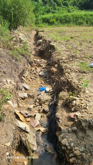 최종호님의 농사, 무엇이든 물어보세요! · 참여글 작성글 사진