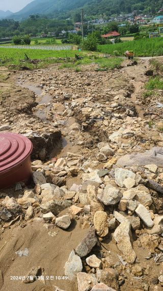 최종호님의 농사, 무엇이든 물어보세요! · 참여글 작성글 사진