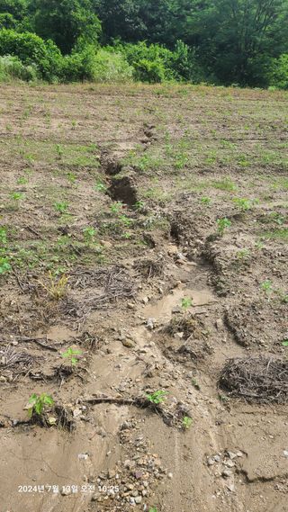 최종호님의 농사, 무엇이든 물어보세요! · 참여글 작성글 사진