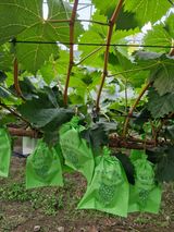 팜모닝 🎉상반기 결산 자랑하기·참여글 게시글 이미지