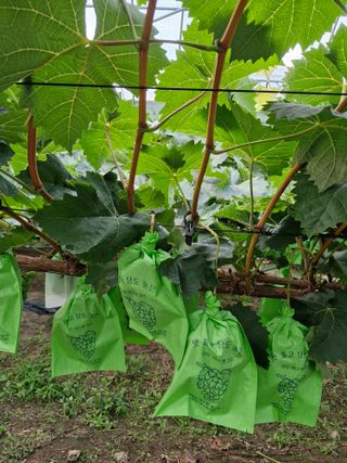 위정수님의 🎉상반기 결산 자랑하기·참여글 작성글 사진