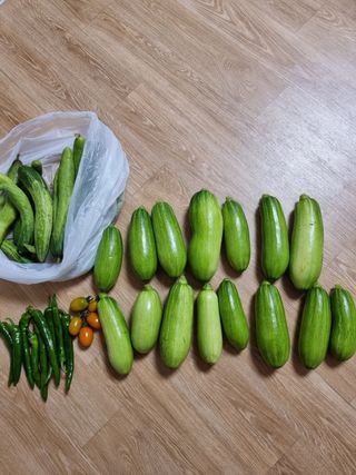 배기재님의 🎉상반기 결산 자랑하기·참여글 작성글 사진