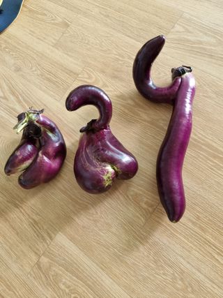 배기재님의 🎉상반기 결산 자랑하기 · 참여글 작성글 사진