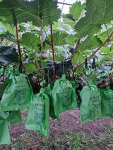 위정수님의 🎉상반기 결산 자랑하기·참여글 작성글 사진