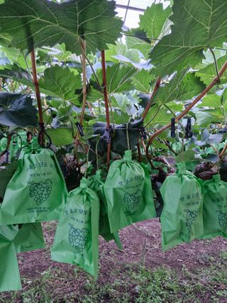 위정수님의 🎉상반기 결산 자랑하기 · 참여글 작성글 사진