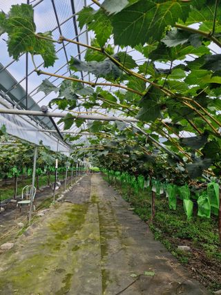 위정수님의 🎉상반기 결산 자랑하기 · 참여글 작성글 사진