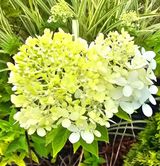 이미옥님의 🎉상반기 결산 자랑하기·참여글 작성글 사진