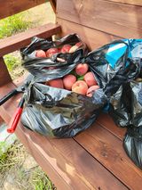 팜모닝 🎉상반기 결산 자랑하기·참여글 게시글 이미지