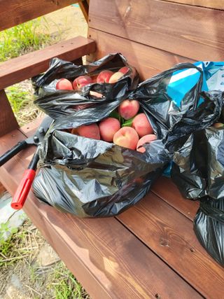김정은님의 🎉상반기 결산 자랑하기 · 참여글 작성글 사진