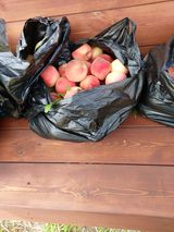 김정은님의 🎉상반기 결산 자랑하기·참여글 작성글 사진