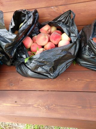 김정은님의 🎉상반기 결산 자랑하기 · 참여글 작성글 사진