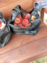 김정은님의 🎉상반기 결산 자랑하기·참여글 작성글 사진