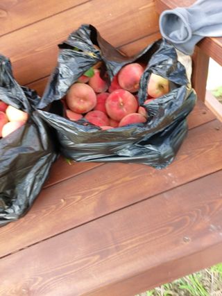 김정은님의 🎉상반기 결산 자랑하기 · 참여글 작성글 사진