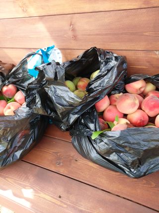 김정은님의 🎉상반기 결산 자랑하기 · 참여글 작성글 사진