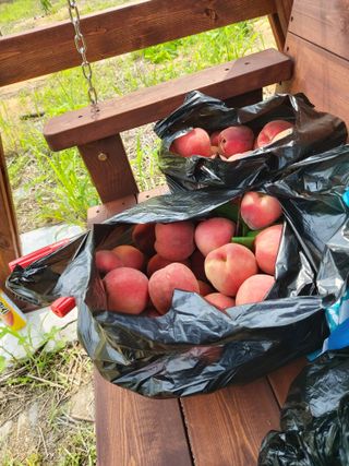 김정은님의 🎉상반기 결산 자랑하기 · 참여글 작성글 사진