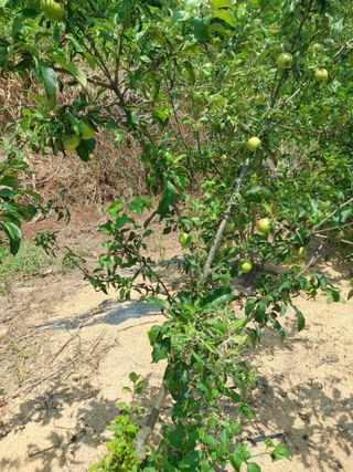 김정은님의 🎉상반기 결산 자랑하기 · 참여글 작성글 사진