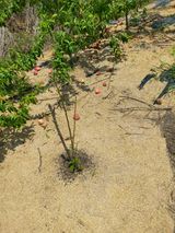 김정은님의 🎉상반기 결산 자랑하기·참여글 작성글 사진