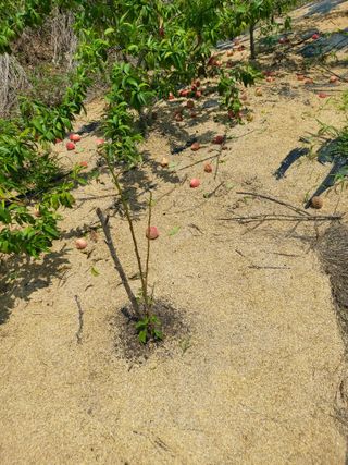 김정은님의 🎉상반기 결산 자랑하기 · 참여글 작성글 사진