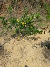 김정은님의 🎉상반기 결산 자랑하기·참여글 작성글 사진