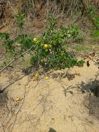 김정은님의 🎉상반기 결산 자랑하기 · 참여글 작성글 사진