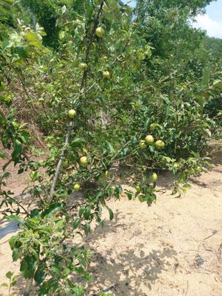 김정은님의 🎉상반기 결산 자랑하기 · 참여글 작성글 사진