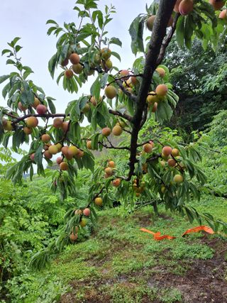 서종국님의 🎉상반기 결산 자랑하기 · 참여글 작성글 사진