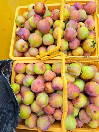 서종국님의 🎉상반기 결산 자랑하기 · 참여글 작성글 사진