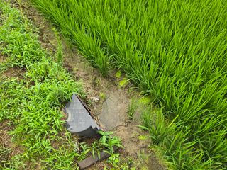 이옥주님의 자유주제 · 자유게시판 작성글 사진