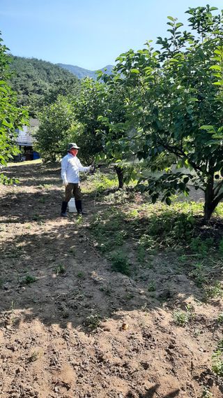향양농장 사랑합니다님의 🎉상반기 결산 자랑하기 · 참여글 작성글 사진