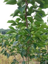 팜모닝 자유주제·자유게시판 게시글 이미지