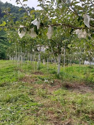 시골살이님의 자유주제 · 자유게시판 작성글 사진