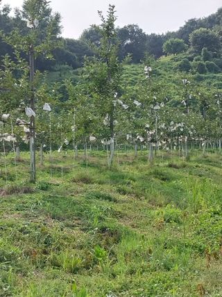 시골살이님의 자유주제 · 자유게시판 작성글 사진